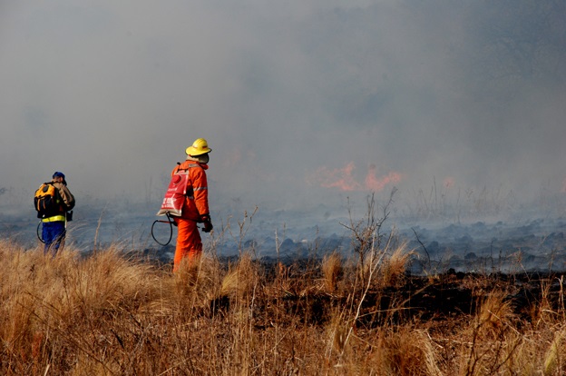 Hasta el sábado, el riesgo de incendio es muy alto