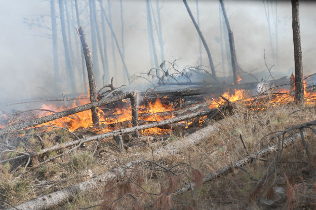 Hasta el sábado es EXTREMO el riesgo de incendio en la provincia