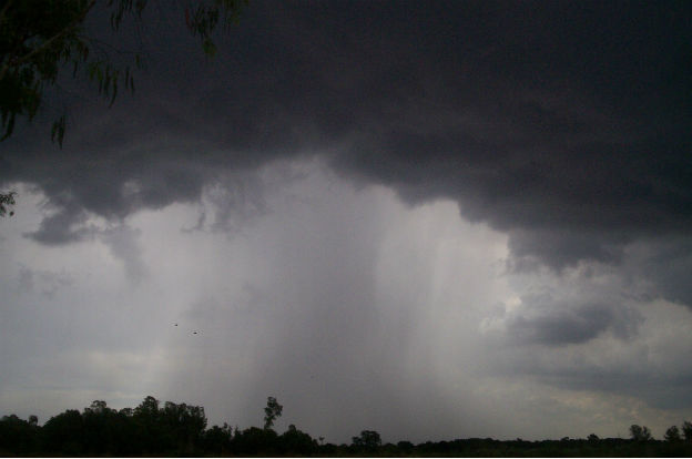 El verano y las tormentas: cómo actuar ante fenómenos climáticos